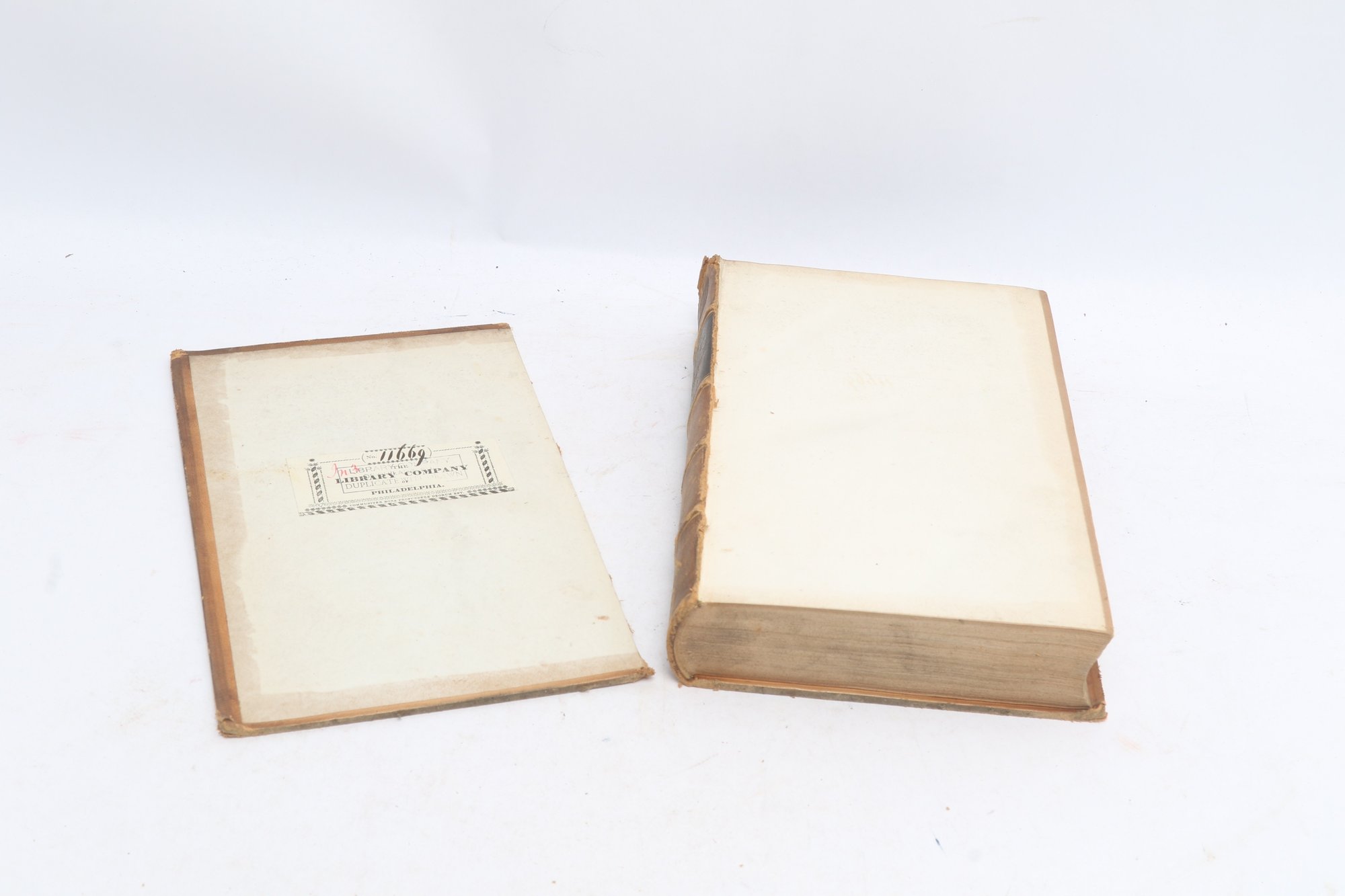 Lot 10