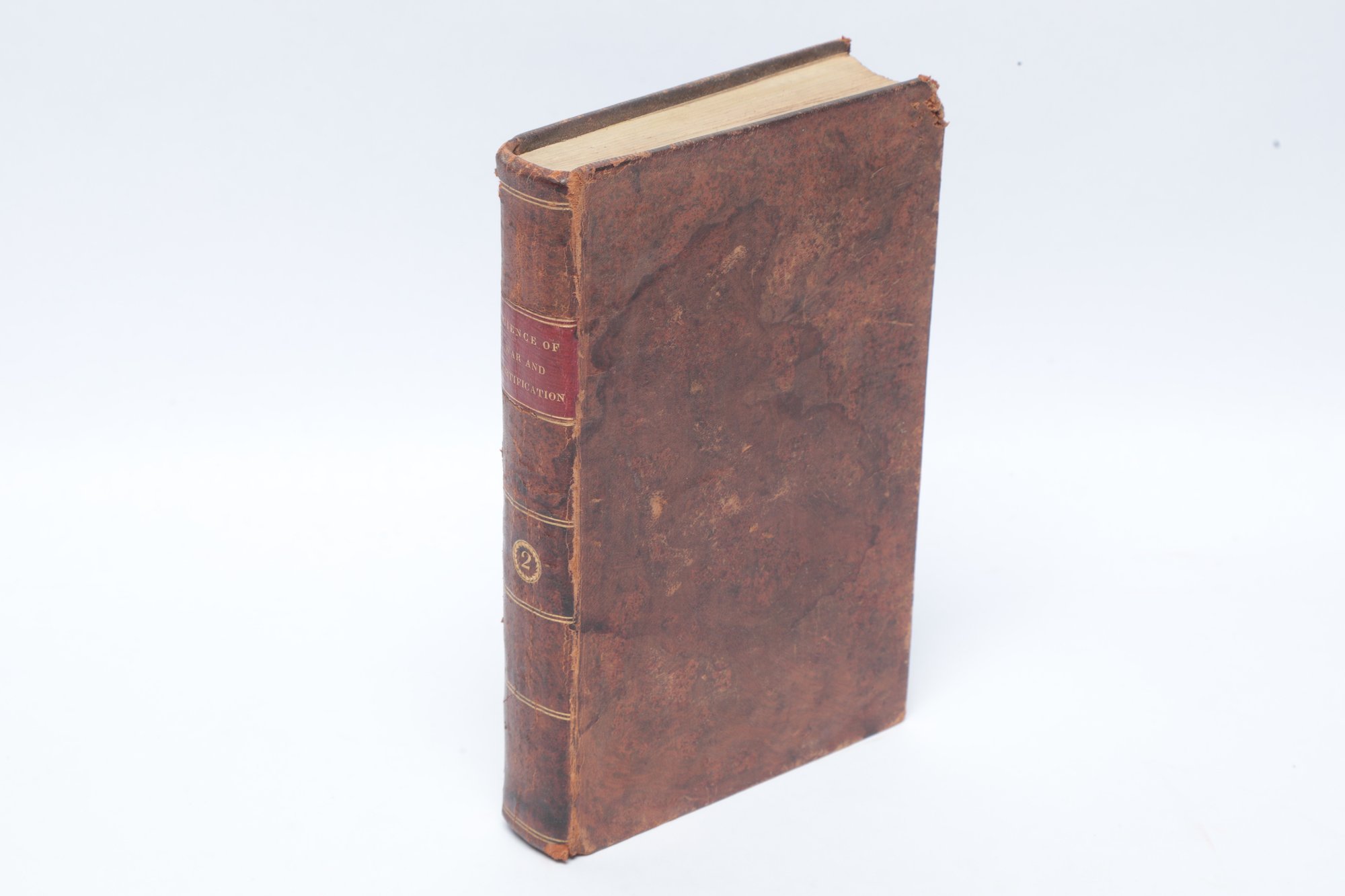 Lot 142