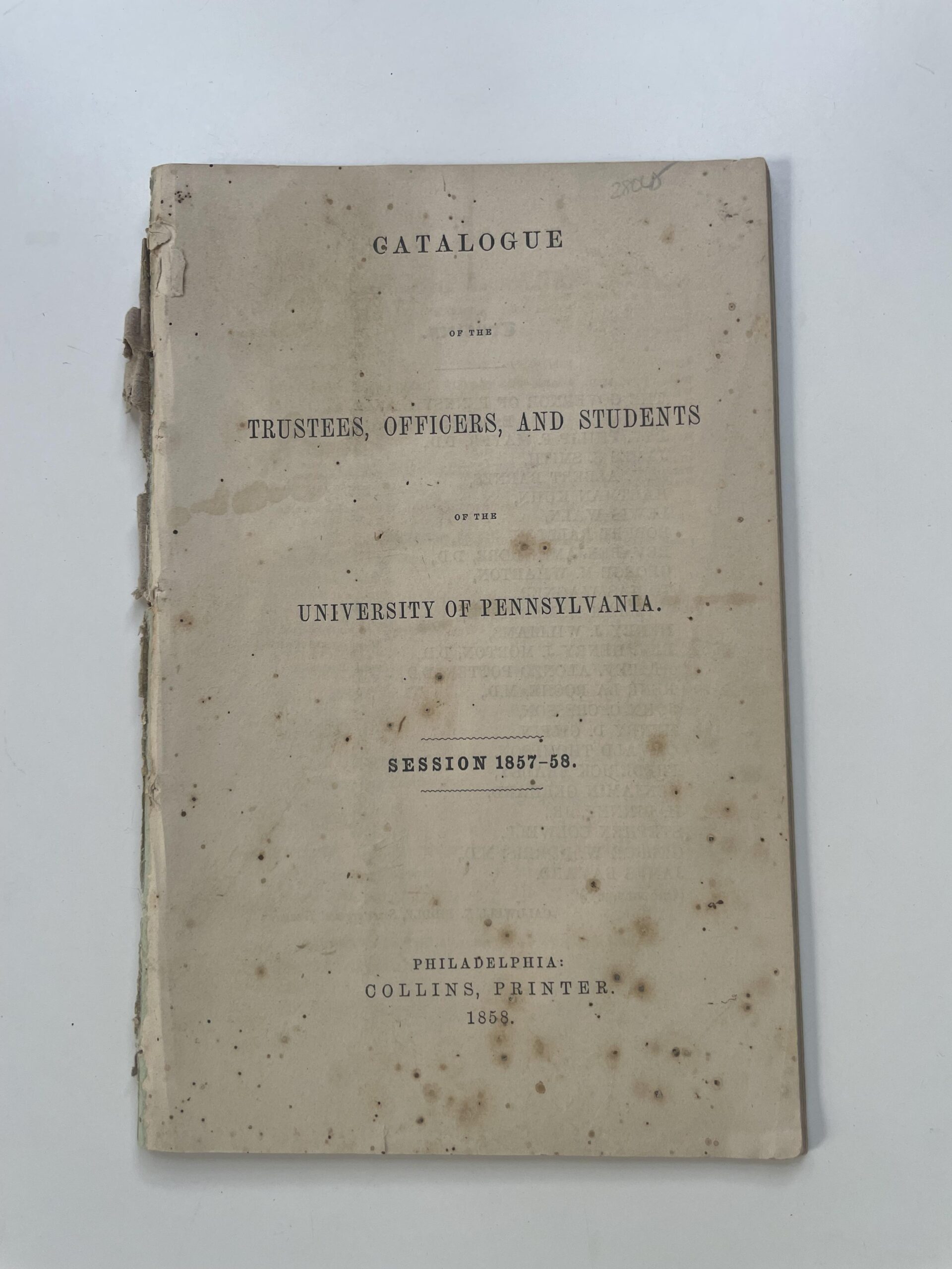 Lot 23
