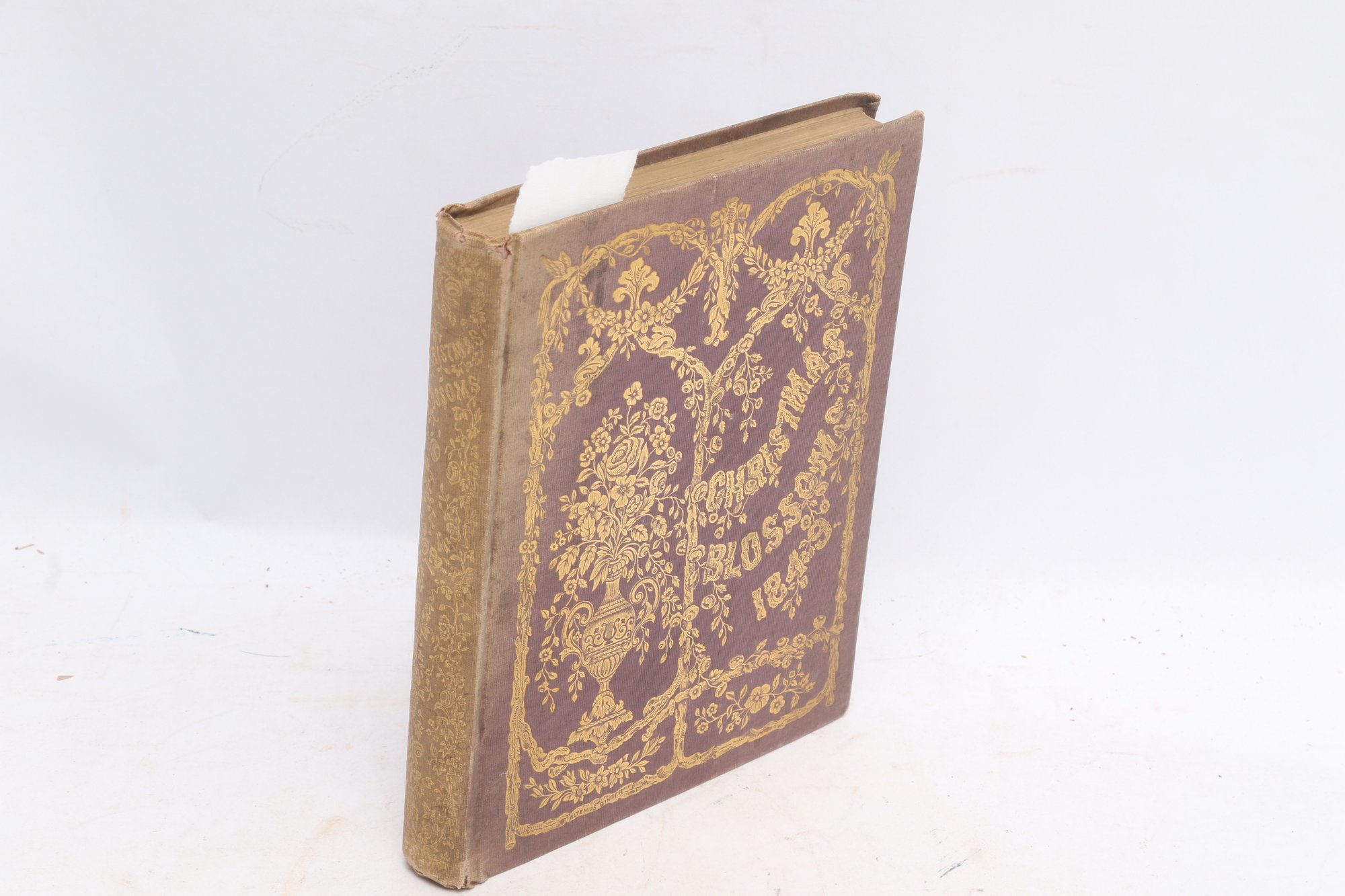 Lot 25