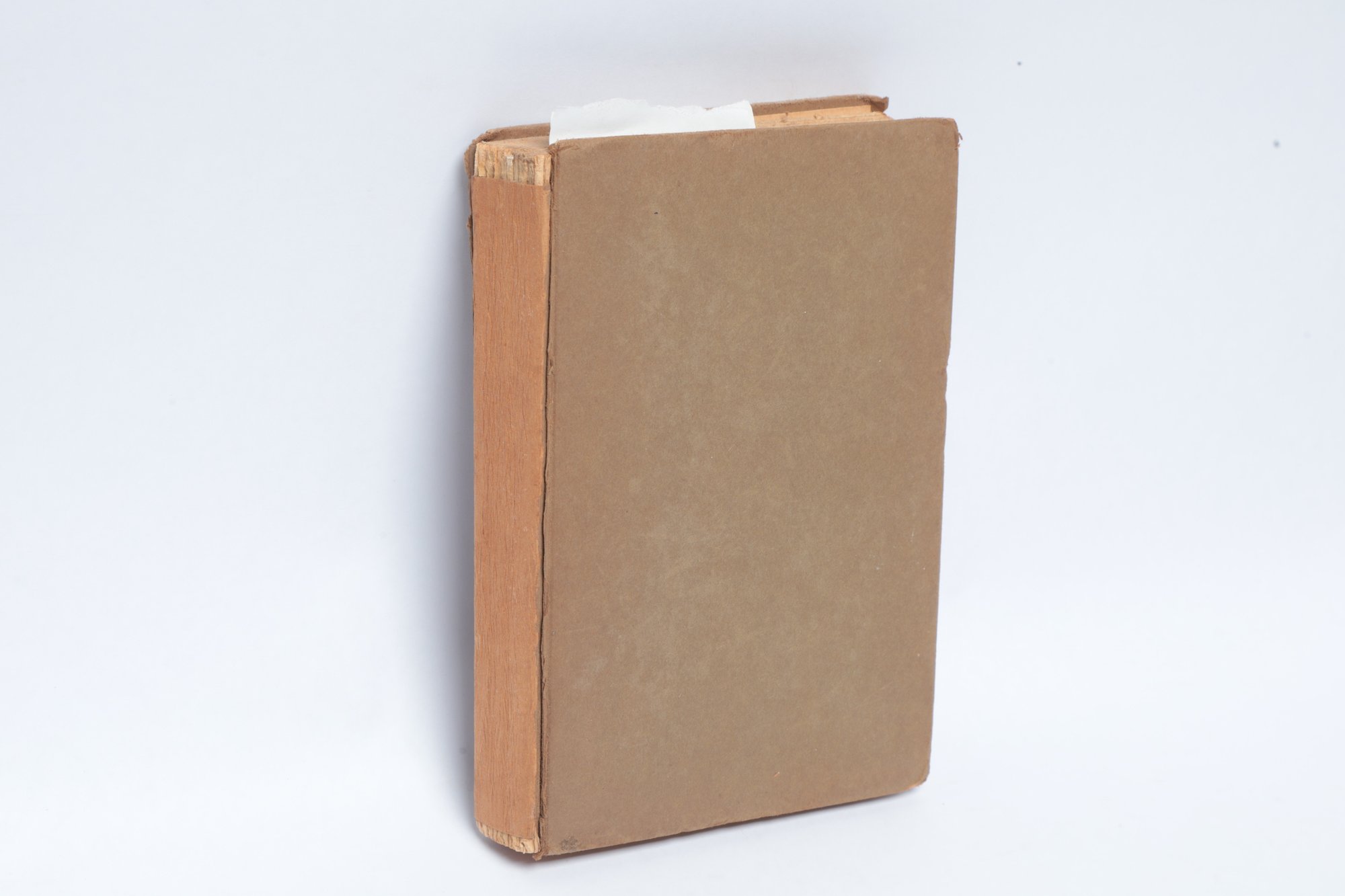 Lot 29