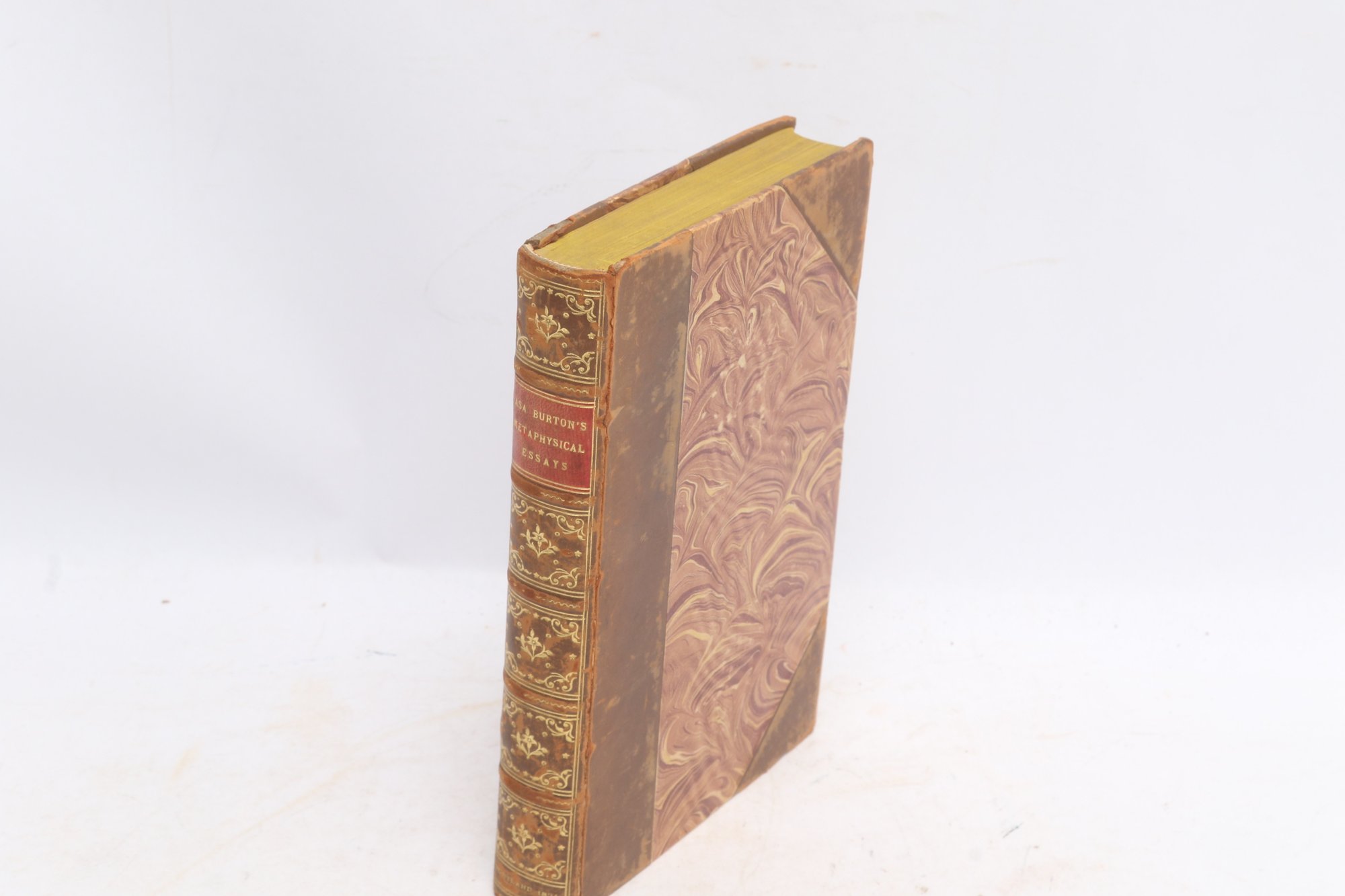 Lot 36