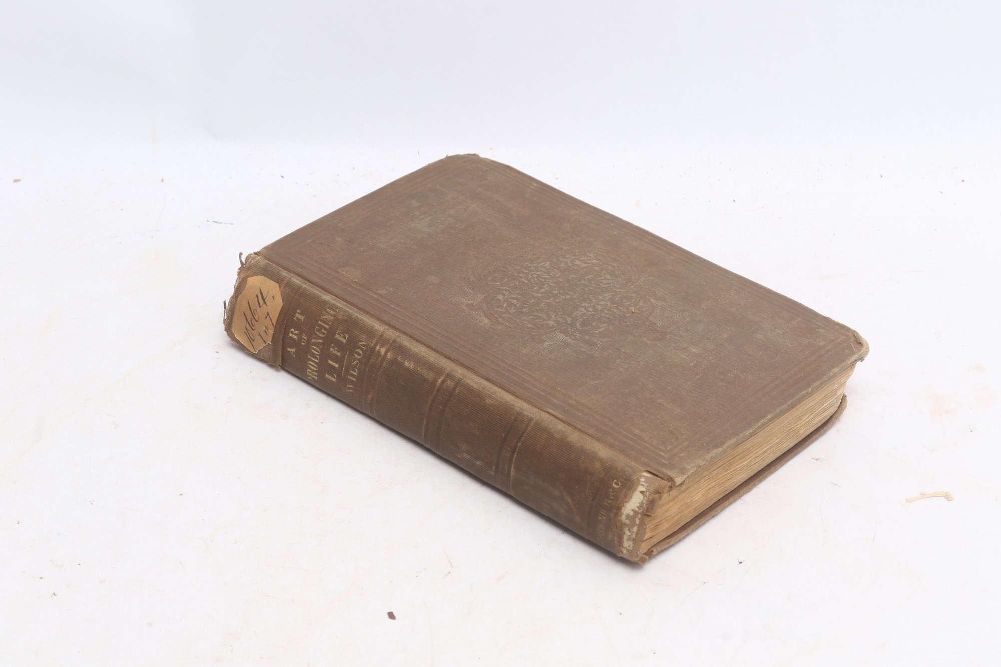 Lot 49