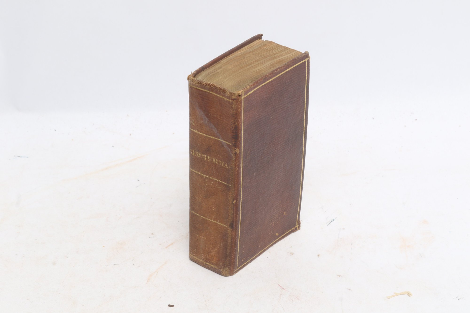 Lot 50