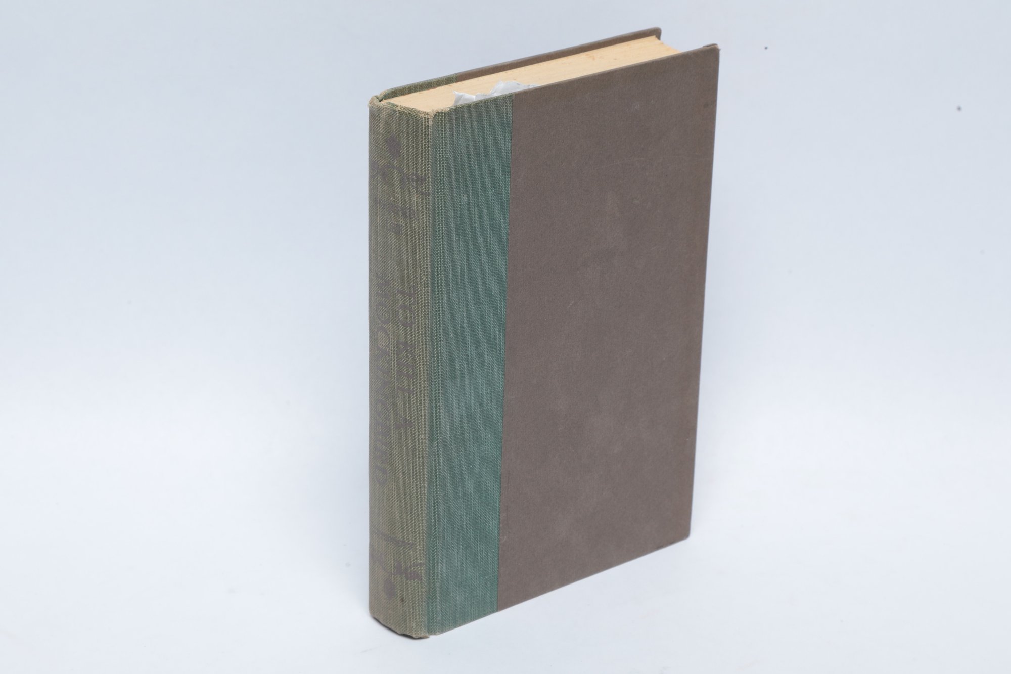 Lot 59